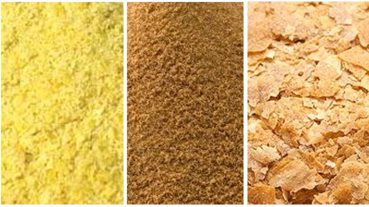 Types of Yeast